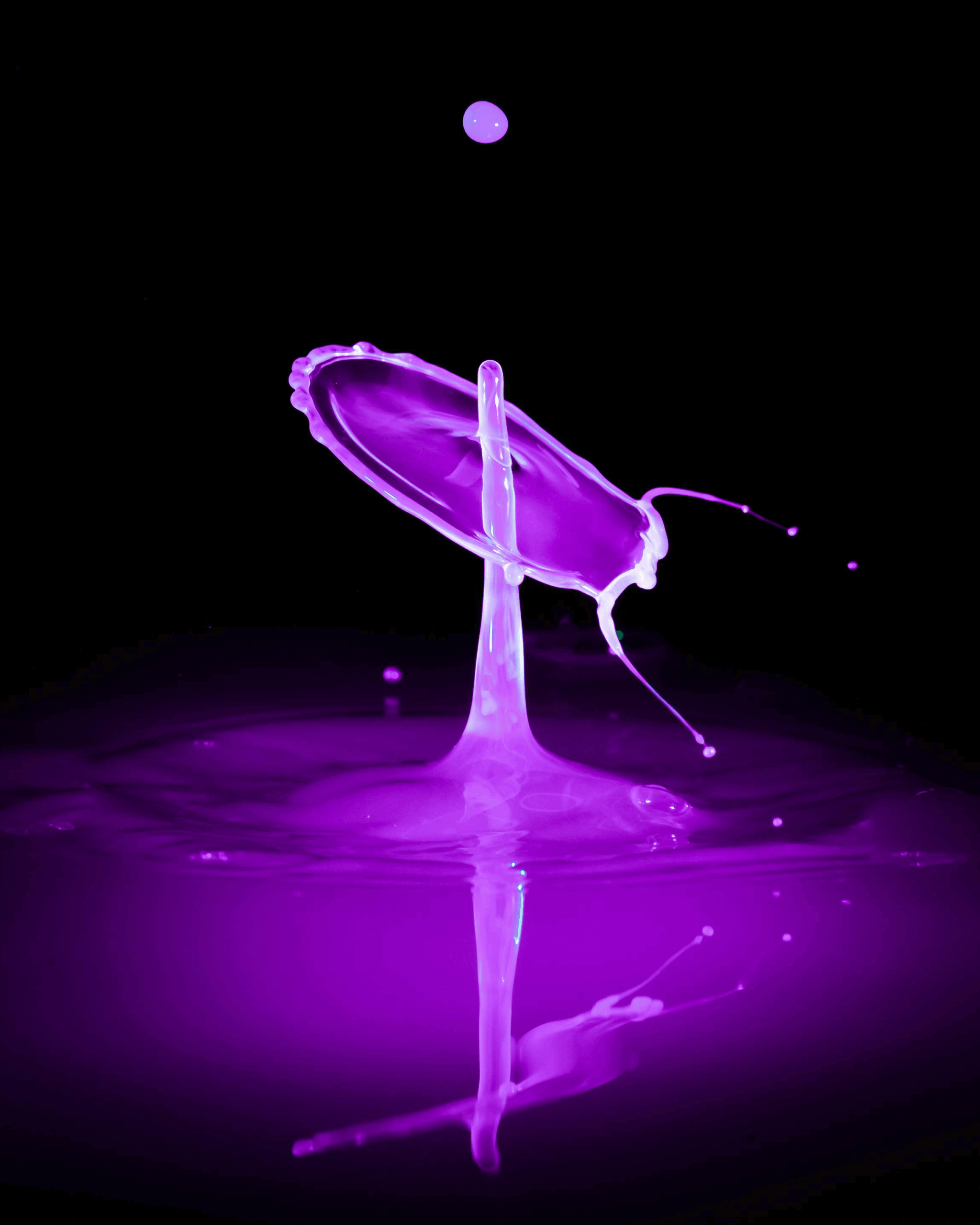 animation-effect-4